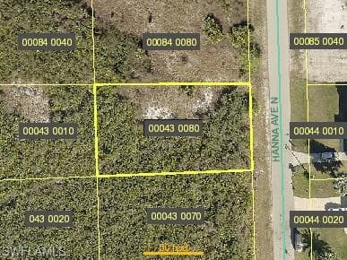 6007 Hanna AVE N LEHIGH ACRES, FL 33971