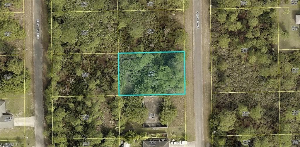 728 Dante AVE S LEHIGH ACRES, FL 33974