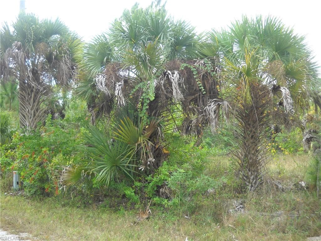 23178 Ameche AVE PORT CHARLOTTE, FL 33980