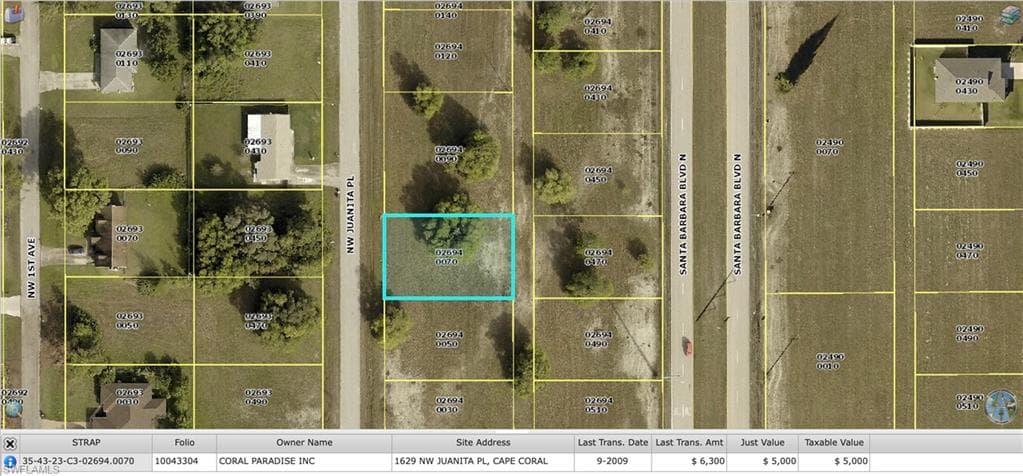 1629 NW Juanita PL CAPE CORAL, FL 33993