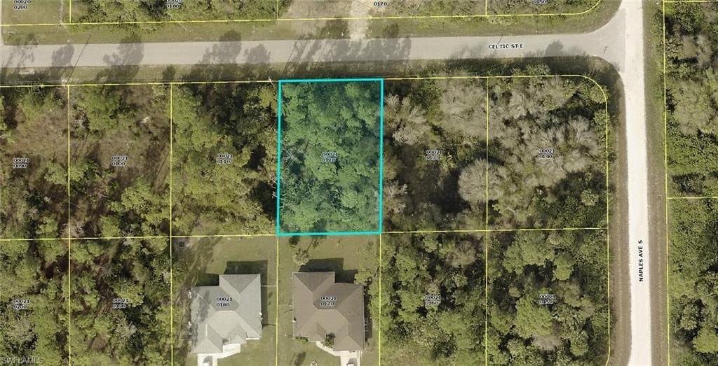 1244 Celtic ST E LEHIGH ACRES, FL 33974