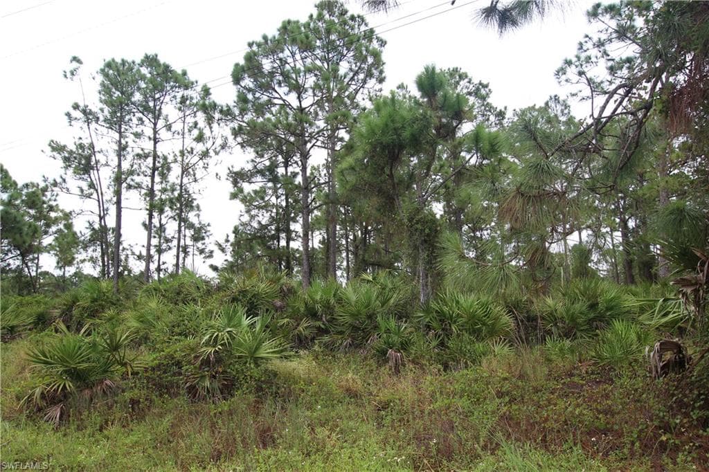 807 Homestead RD S LEHIGH ACRES, FL 33974