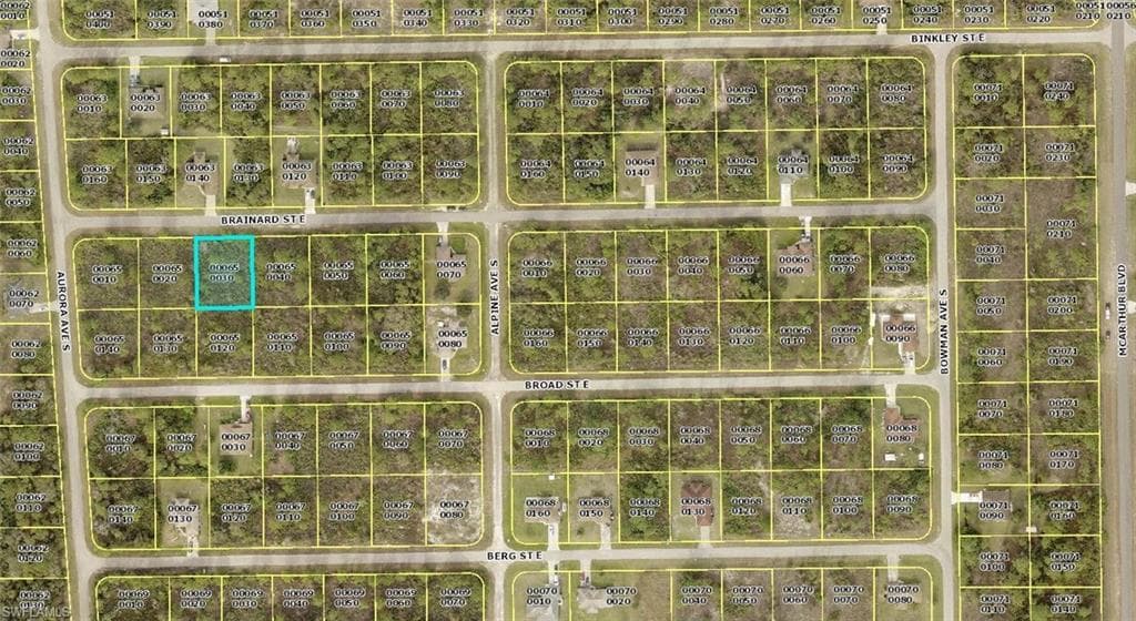 920 BRAINARD ST E LEHIGH ACRES, FL 33974