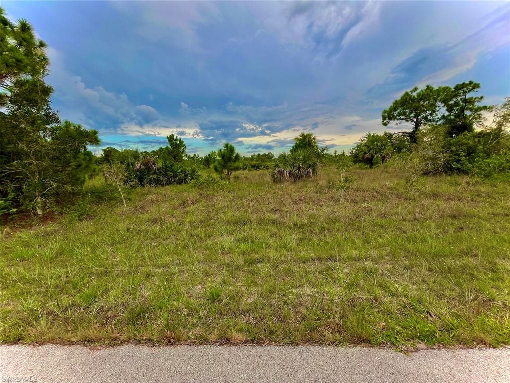 920 Panda DR LEHIGH ACRES, FL 33974