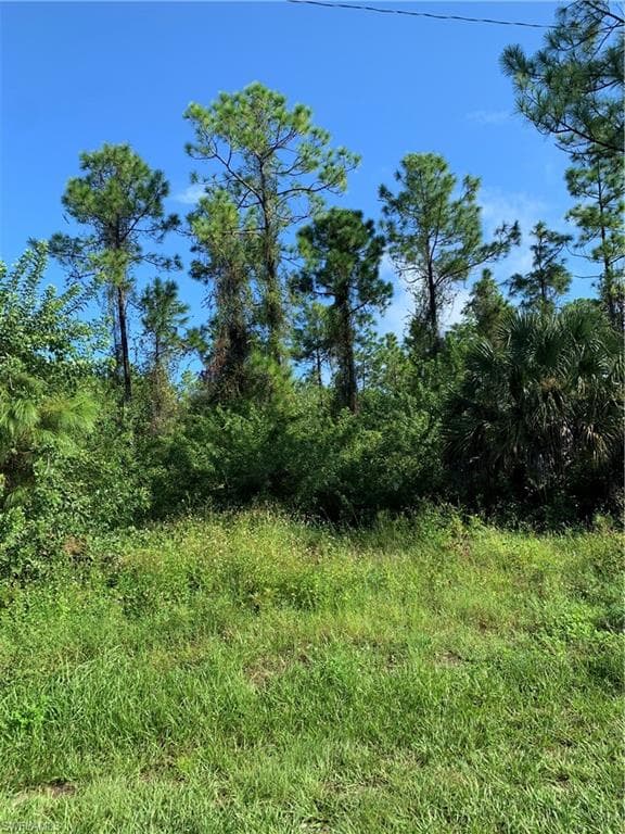 4503 E 21st ST ALVA, FL 33920