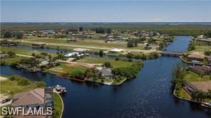 1253 NW 39th AVE CAPE CORAL, FL 33993