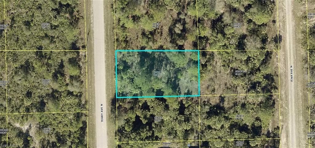 6008 Terry AVE N LEHIGH ACRES, FL 33971