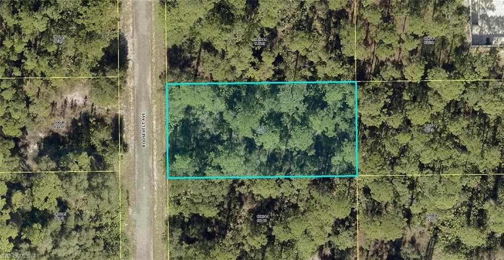 1918 Roosevelt AVE LEHIGH ACRES, FL 33972