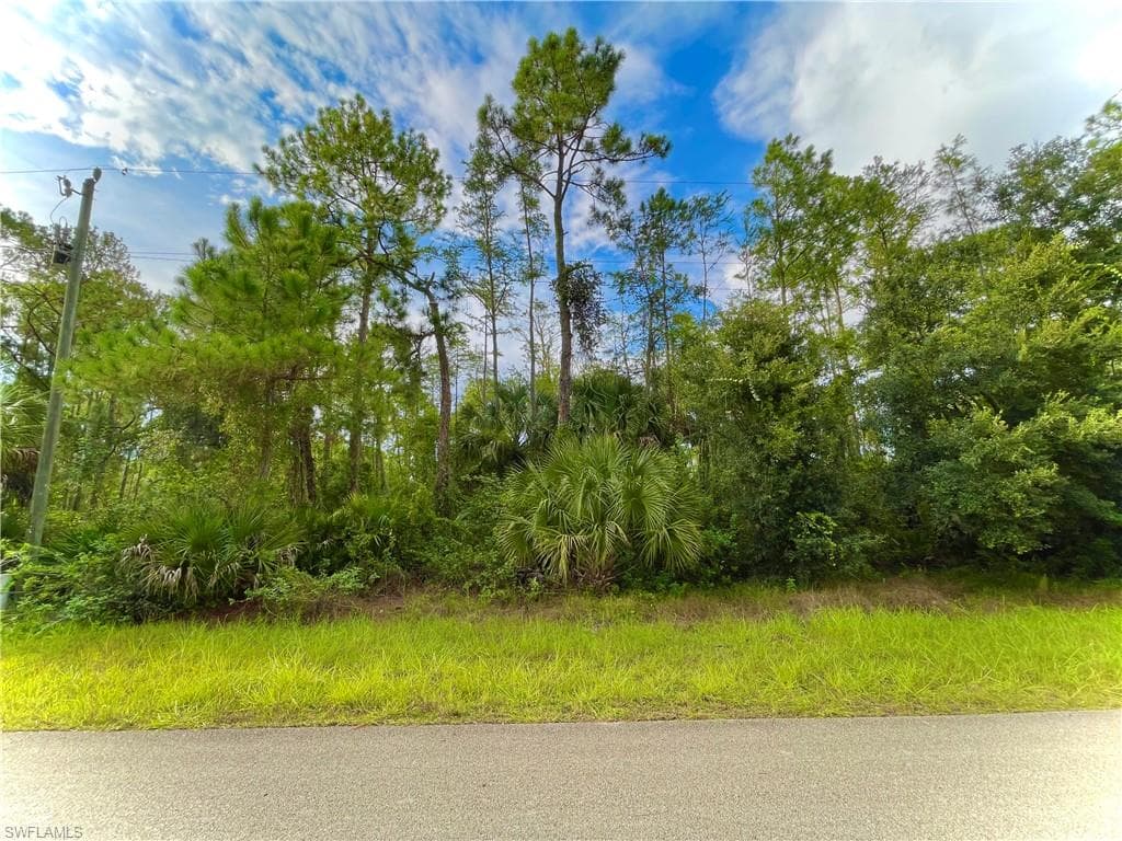 2421 Jetridge ST ALVA, FL 33920