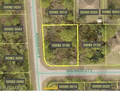 915 Brainard ST E LEHIGH ACRES, FL 33974
