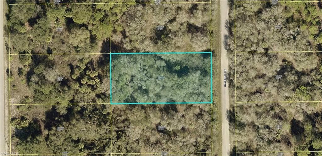 1213 Mcarthur AVE LEHIGH ACRES, FL 33972