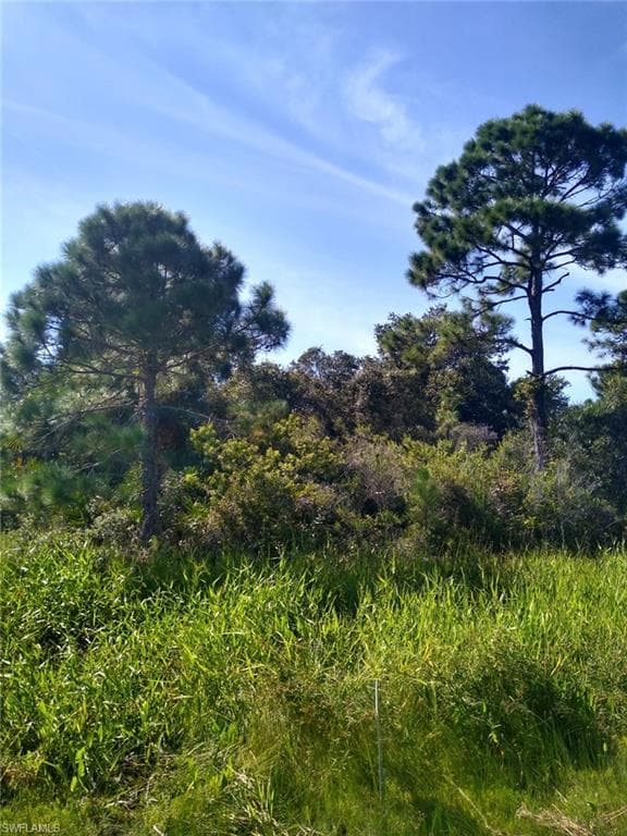 12136 Keller AVE PORT CHARLOTTE, FL 33981