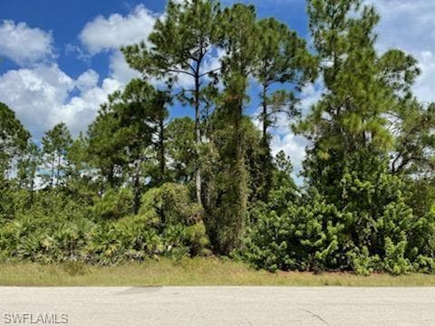 2606 16th ST W LEHIGH ACRES, FL 33971