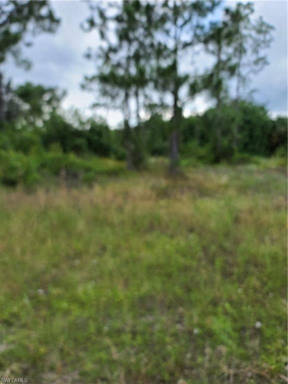810 Ontario AVE S LEHIGH ACRES, FL 33974