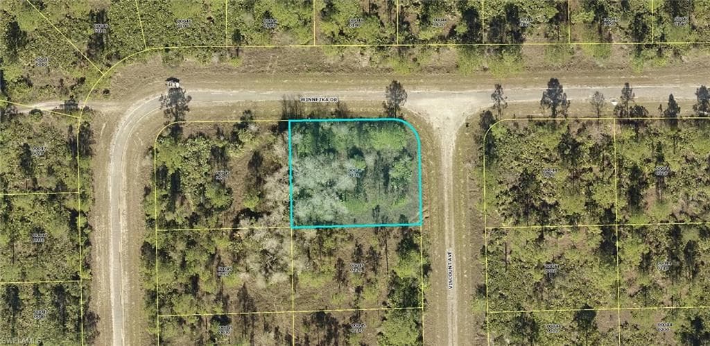 2157 Viscount AVE LEHIGH ACRES, FL 33972