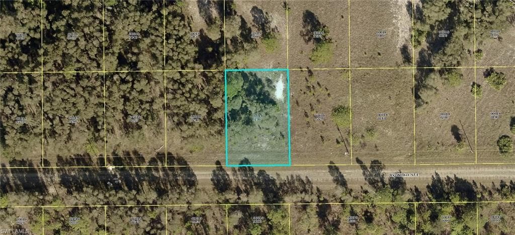 881 Avondale ST E LEHIGH ACRES, FL 33974