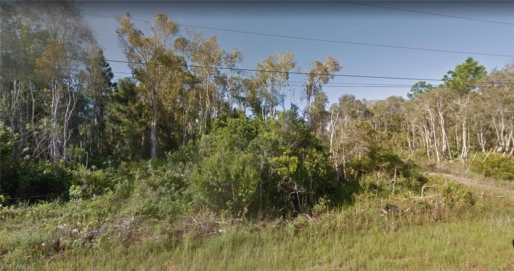 458 Conlee ST LEHIGH ACRES, FL 33974