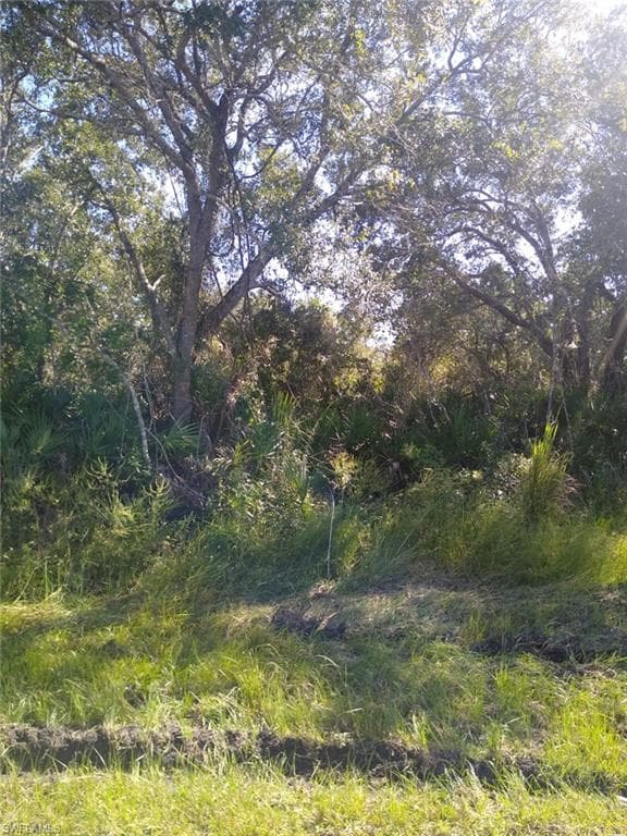 12171 Murray AVE PORT CHARLOTTE, FL 33981