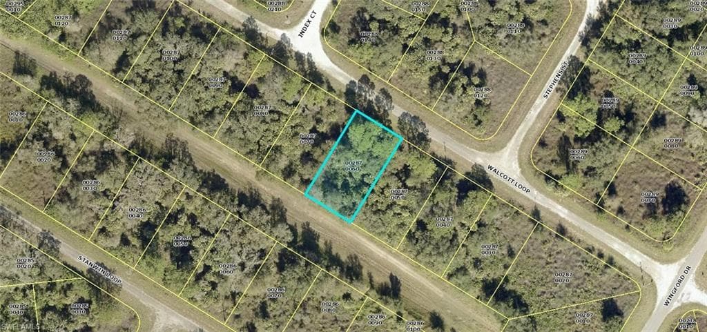 1921 Walcott LOOP LEHIGH ACRES, FL 33972