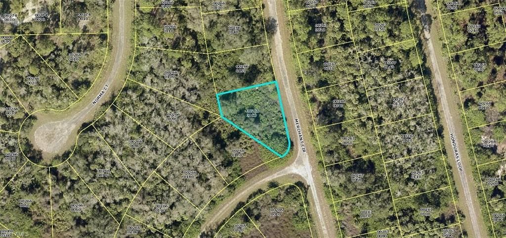1839 Merchant CIR LEHIGH ACRES, FL 33972