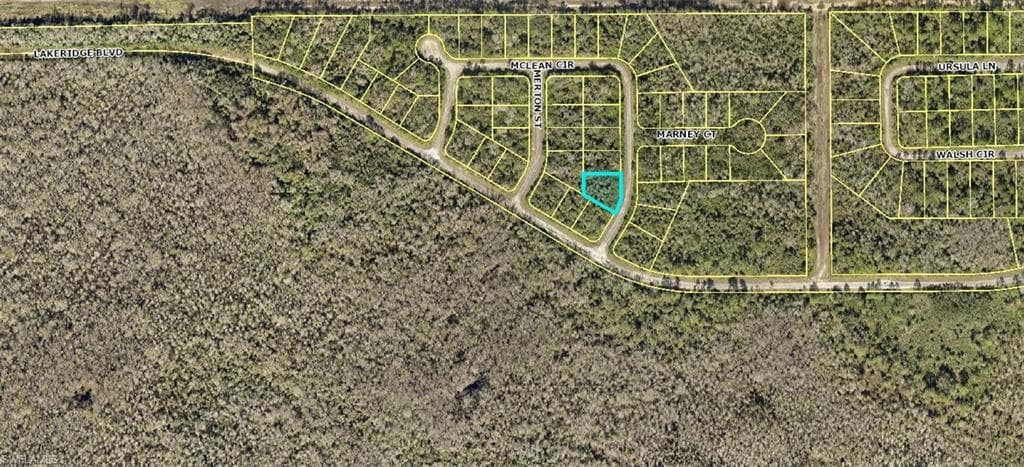 403 Mclean CIR LEHIGH ACRES, FL 33972