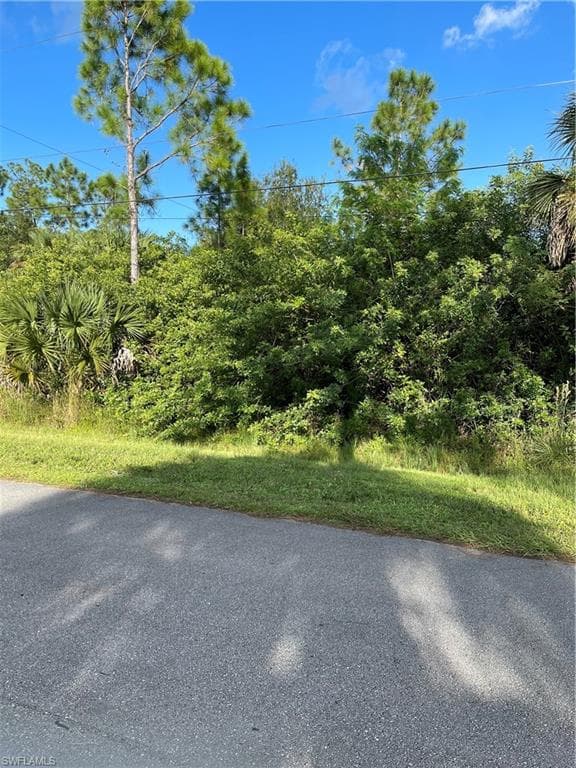 18th 18th ST NE NAPLES, FL 34120