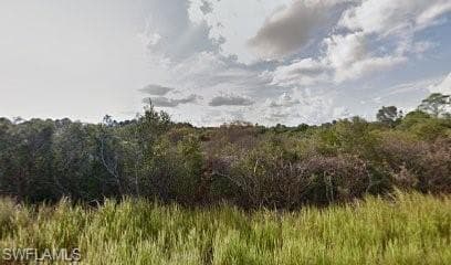 2603 Irma AVE N LEHIGH ACRES, FL 33971