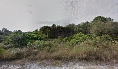 982 Plantation RD LEHIGH ACRES, FL 33974