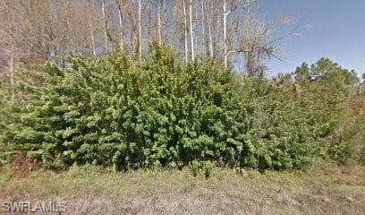 1809 Mayberry DR LEHIGH ACRES, FL 33972