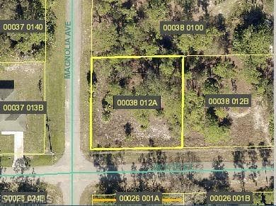 906 W 15th ST LEHIGH ACRES, FL 33972