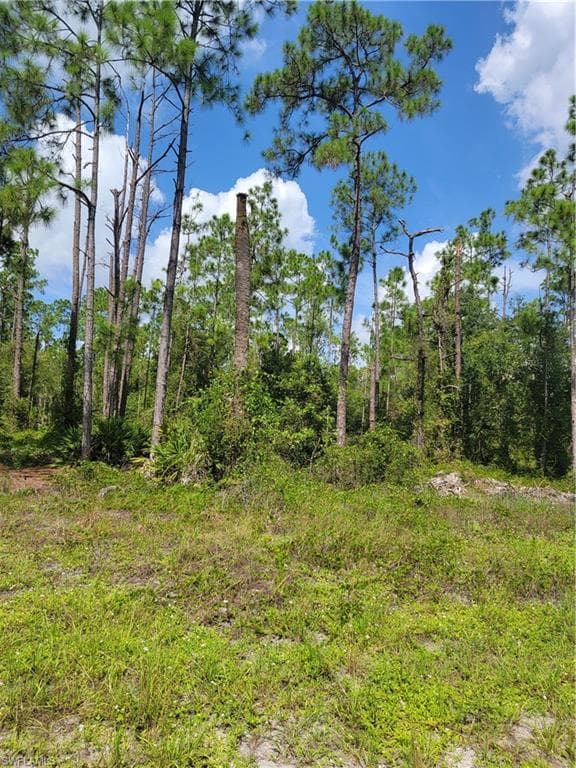 1113 Scott AVE LEHIGH ACRES, FL 33972