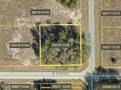 2907 E 17th ST LEHIGH ACRES, FL 33972