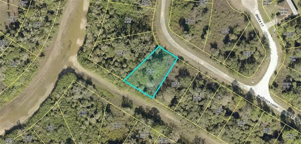 1933 Walcott LOOP LEHIGH ACRES, FL 33972