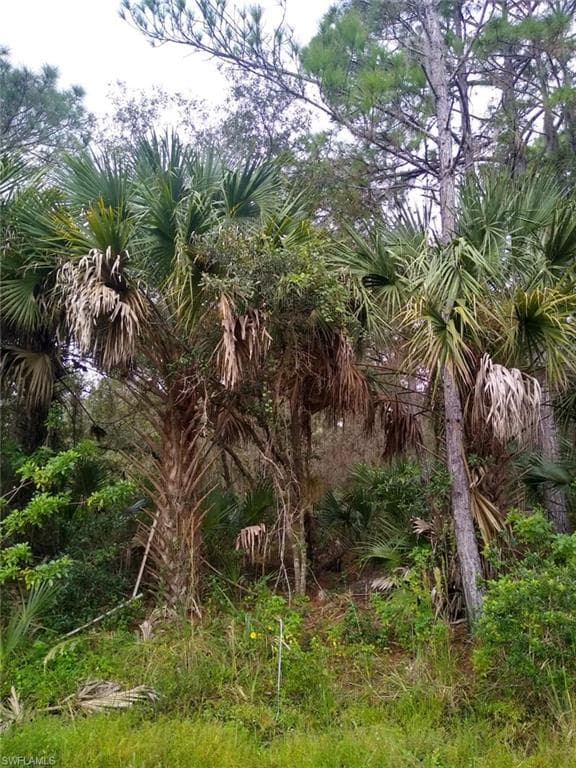 1497 Candy LN PORT CHARLOTTE, FL 33953