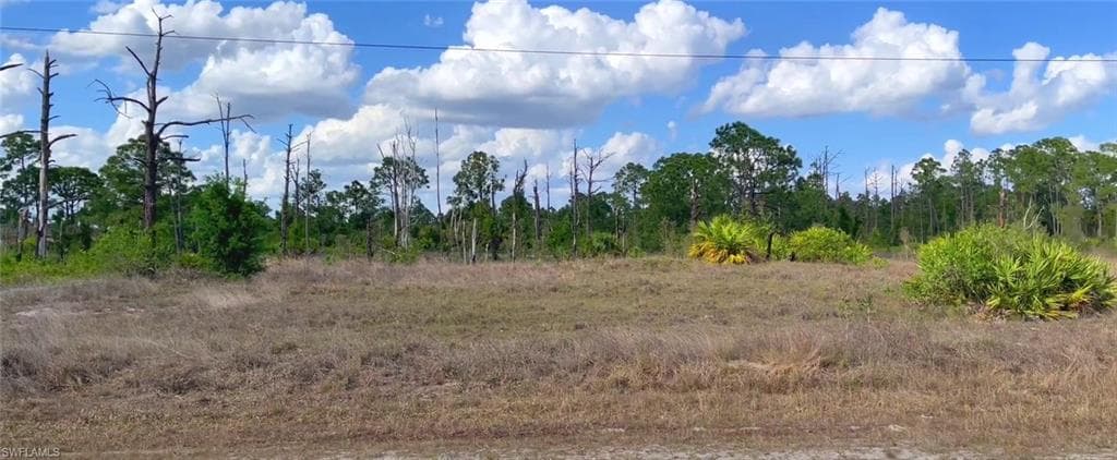 854 Arturo ST E LEHIGH ACRES, FL 33974