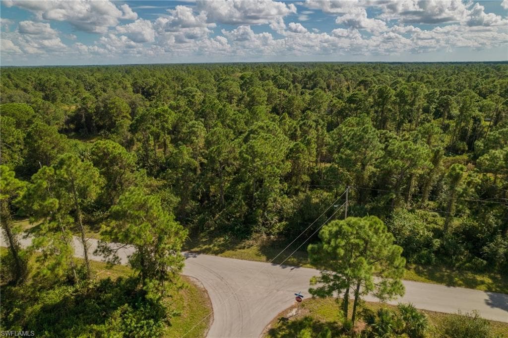 1118 Ravenswood ST E LEHIGH ACRES, FL 33974