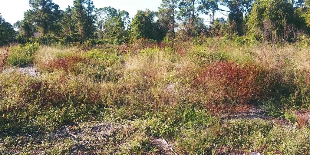 948 Milwaukee BLVD LEHIGH ACRES, FL 33974