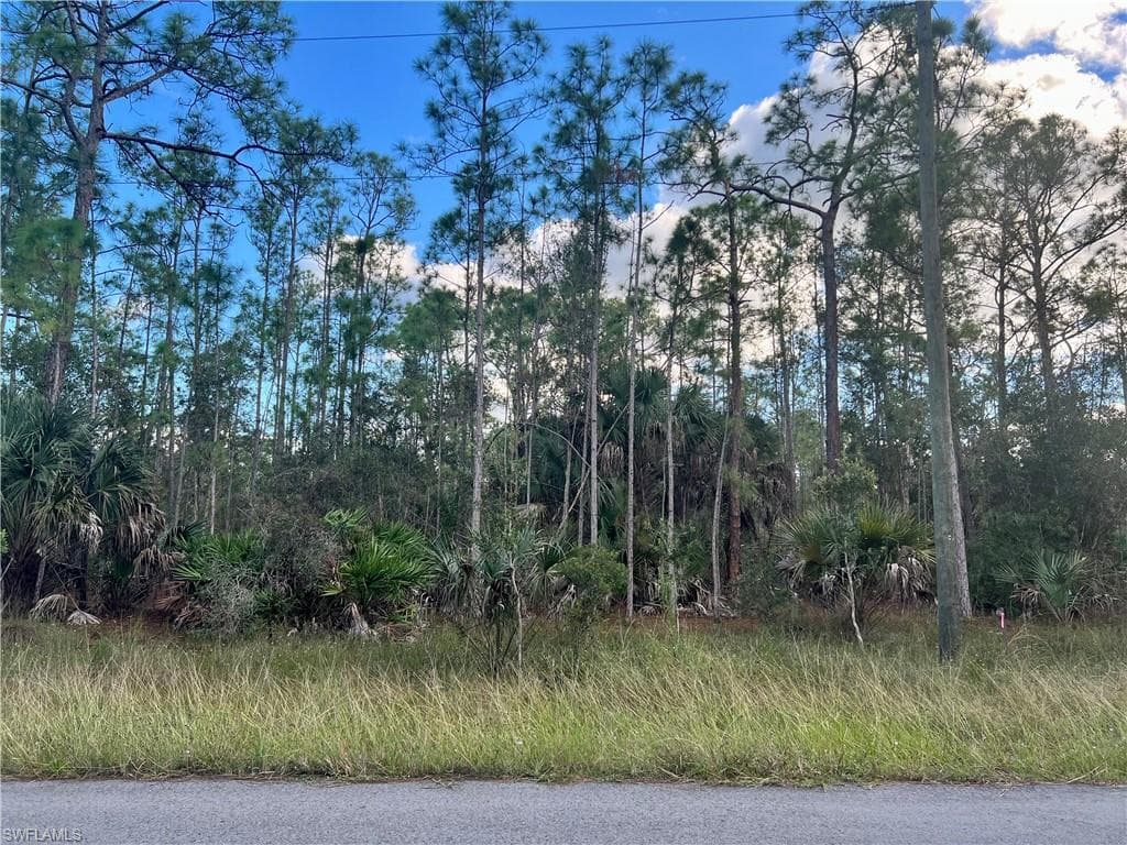 349/351 Reeves ST LEHIGH ACRES, FL 33972