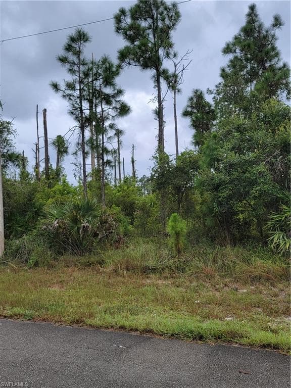 1252 Edile ST E LEHIGH ACRES, FL 33974