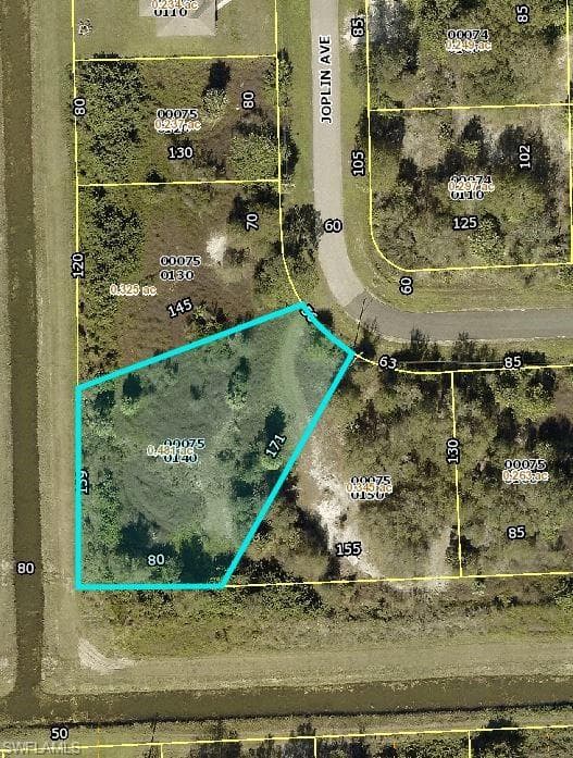6005 Joplin AVE FORT MYERS, FL 33905