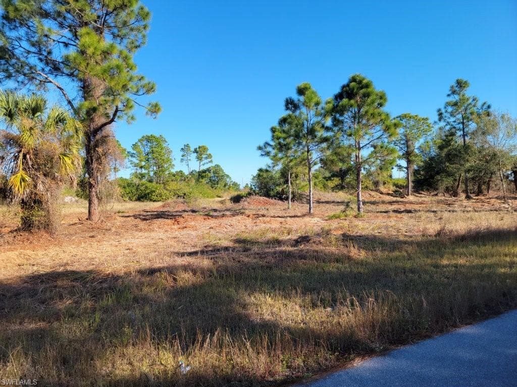 1239 Bari ST E LEHIGH ACRES, FL 33974