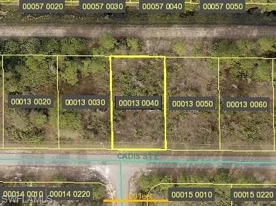 817 Cadis ST E LEHIGH ACRES, FL 33974
