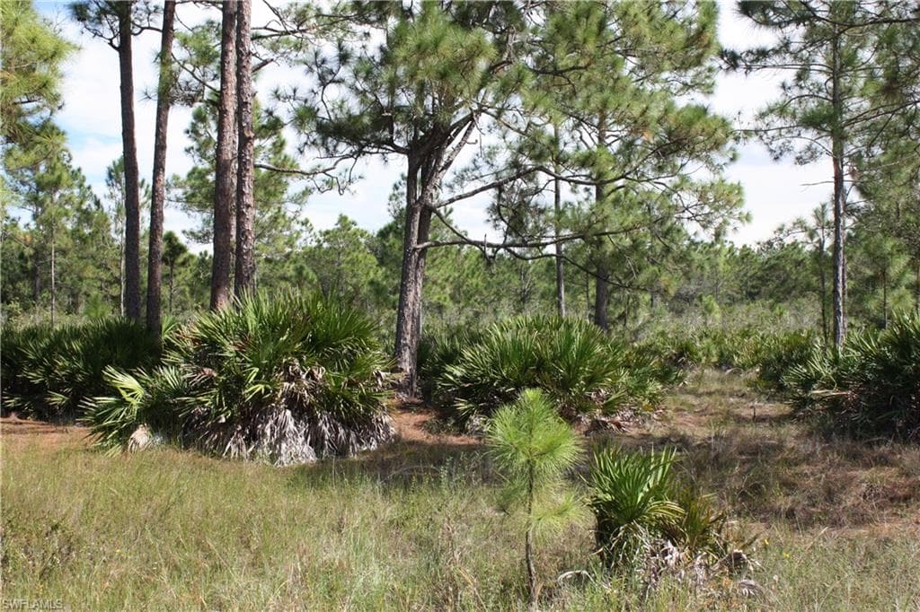 1855 Miller ST LEHIGH ACRES, FL 33972