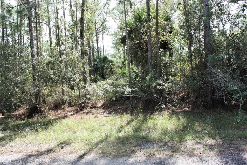 313 Rosanna AVE LEHIGH ACRES, FL 33972