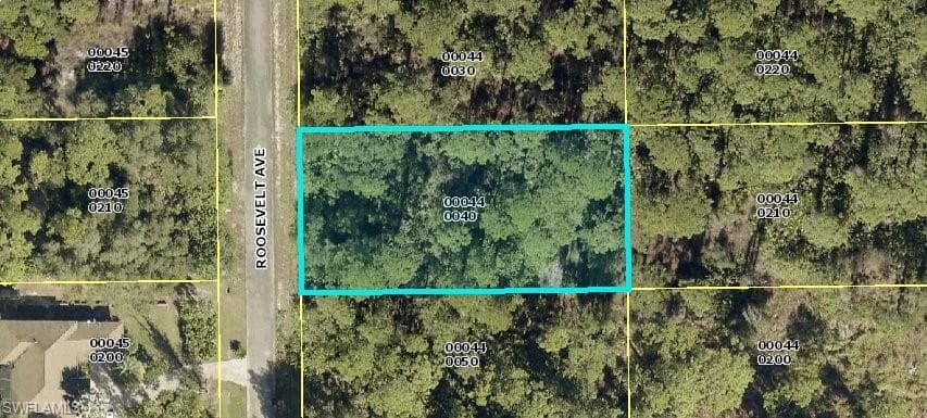 1916 Roosevelt AVE LEHIGH ACRES, FL 33972