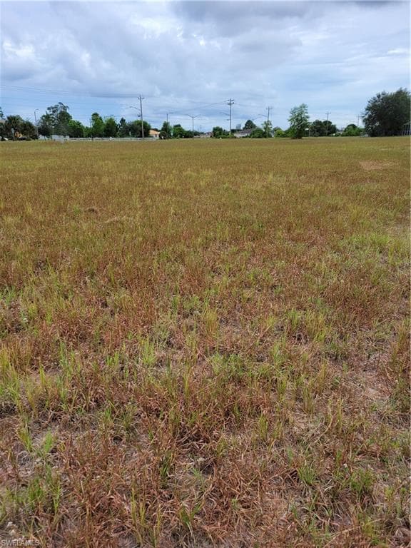 3071 NW Juanita PL CAPE CORAL, FL 33993