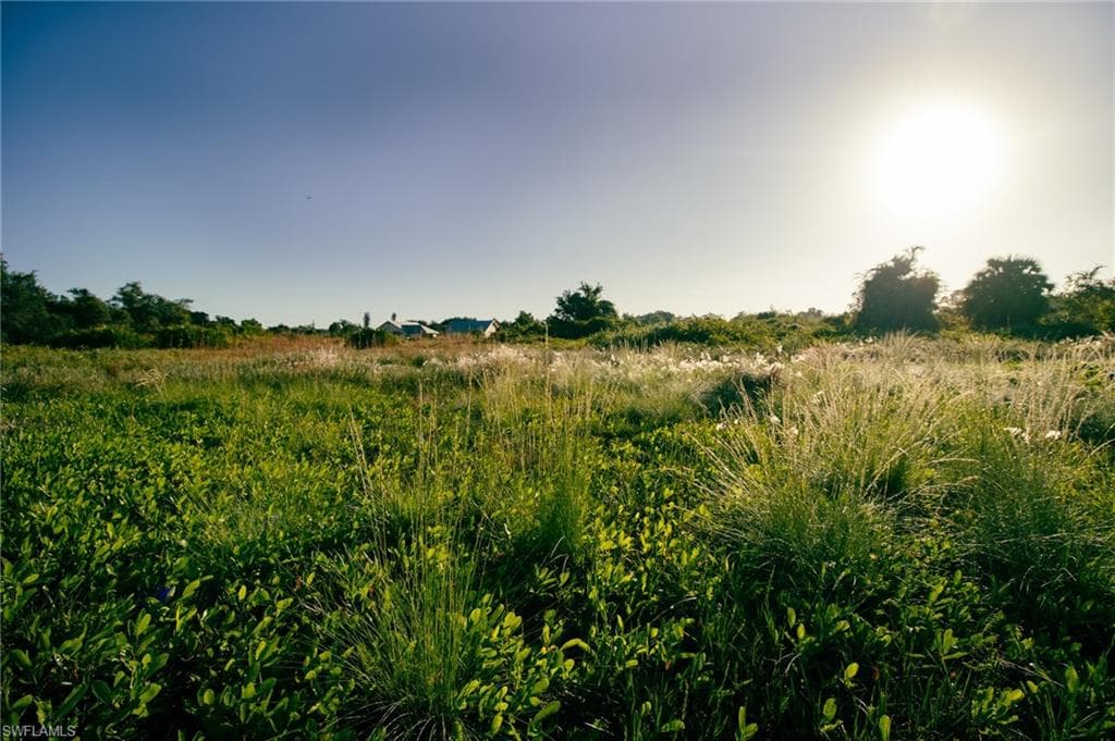 Old Olga FORT MYERS, FL 33905