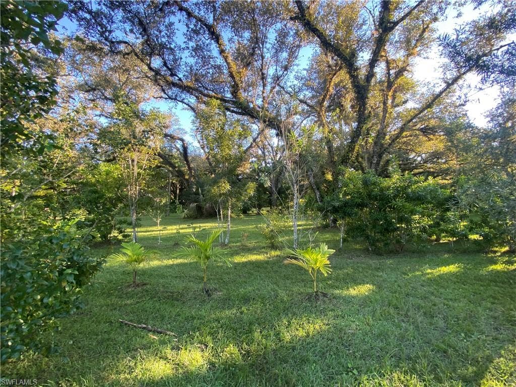 17970 Caloosa RD ALVA, FL 33920