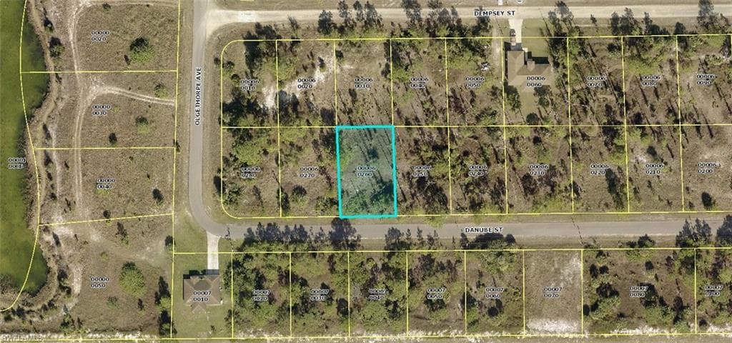 919 Danube ST LEHIGH ACRES, FL 33974