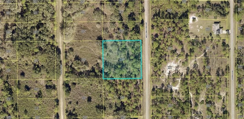 1313 Wellington AVE LEHIGH ACRES, FL 33972